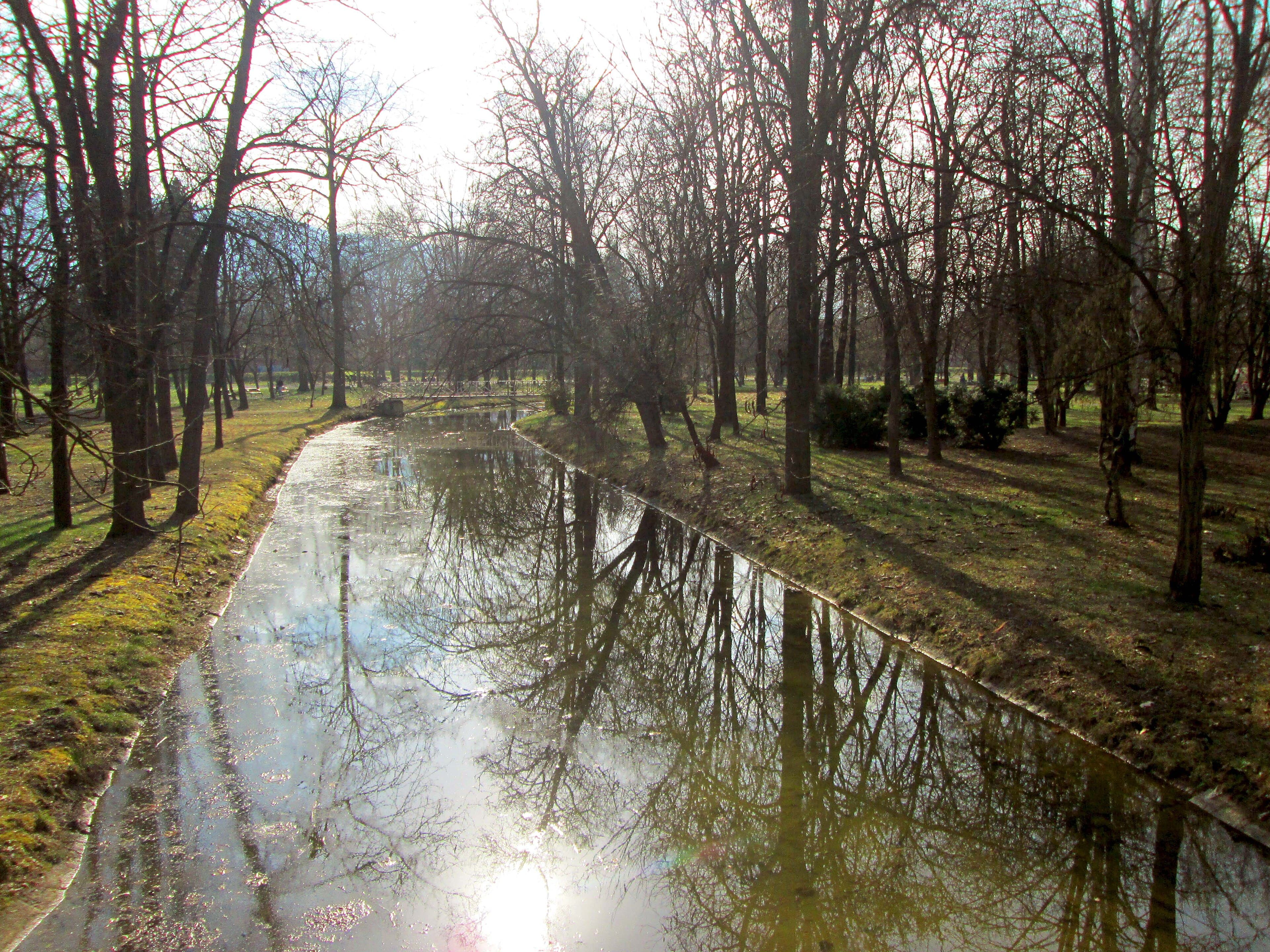 City Park interior photo 2 of 2