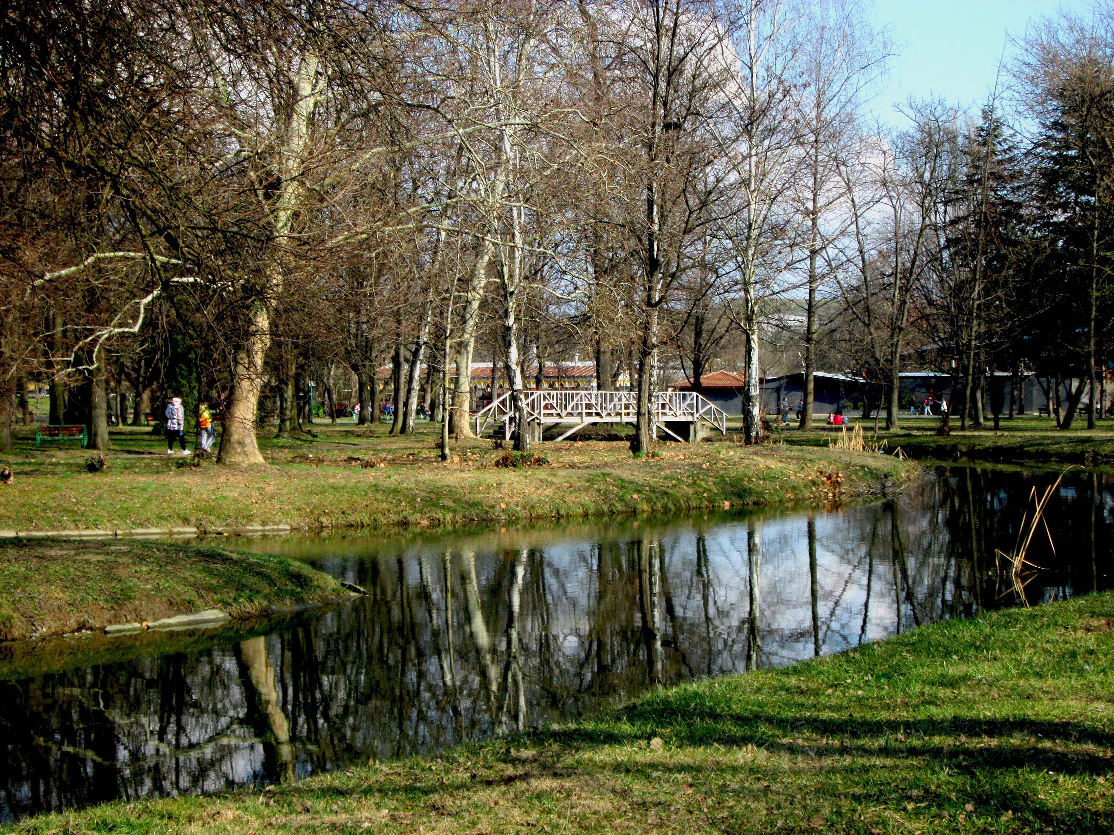 City Park, Park, beside Debar Maalo
